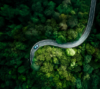 A teal car is driving through the forest to symbolize sustainability